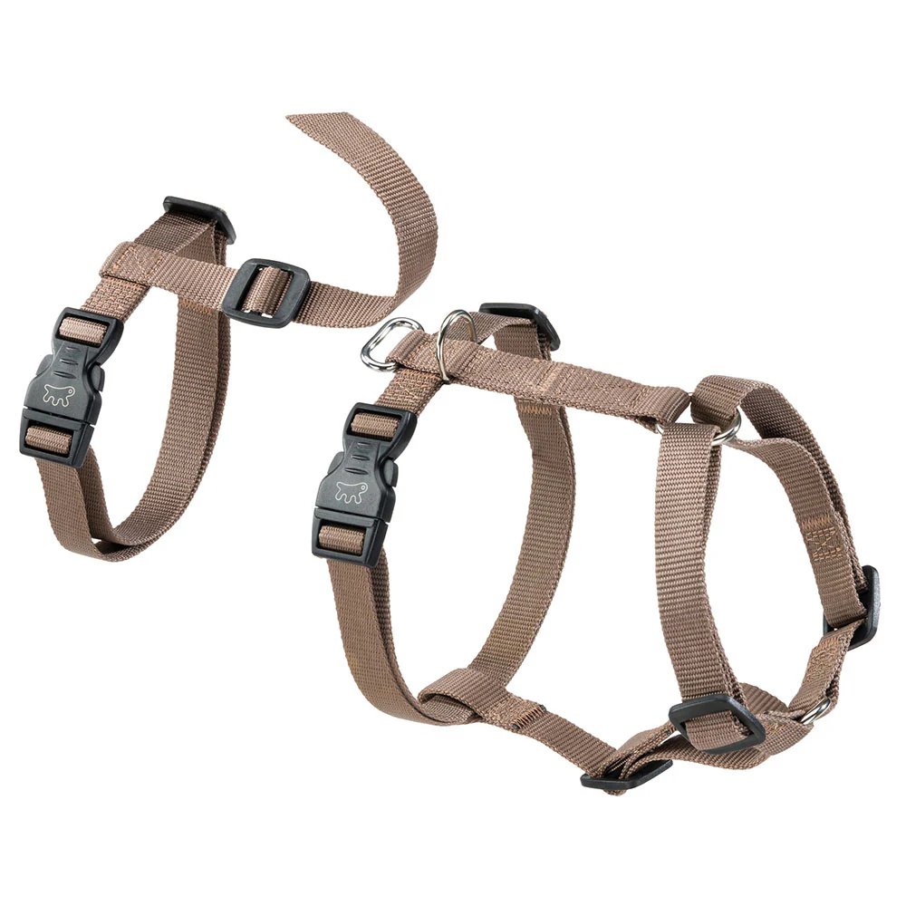 BRAVE - Image 21