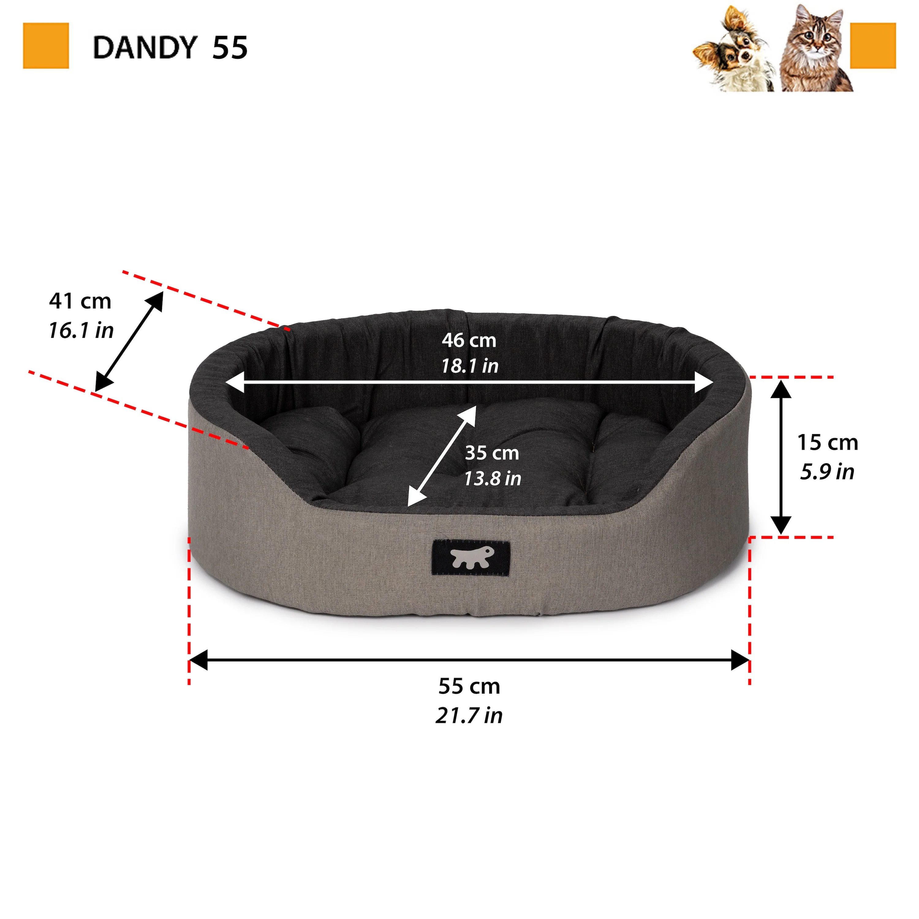 DANDY C COLOUR - Image 15
