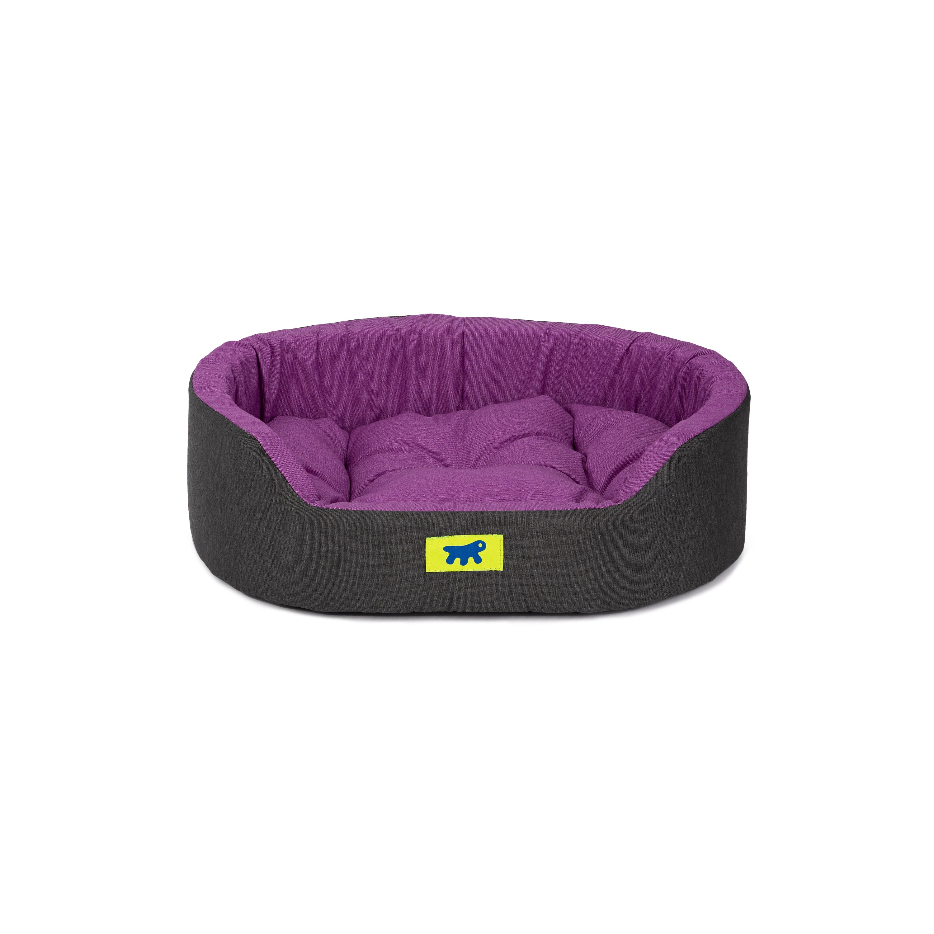 DANDY C COLOUR - Image 19
