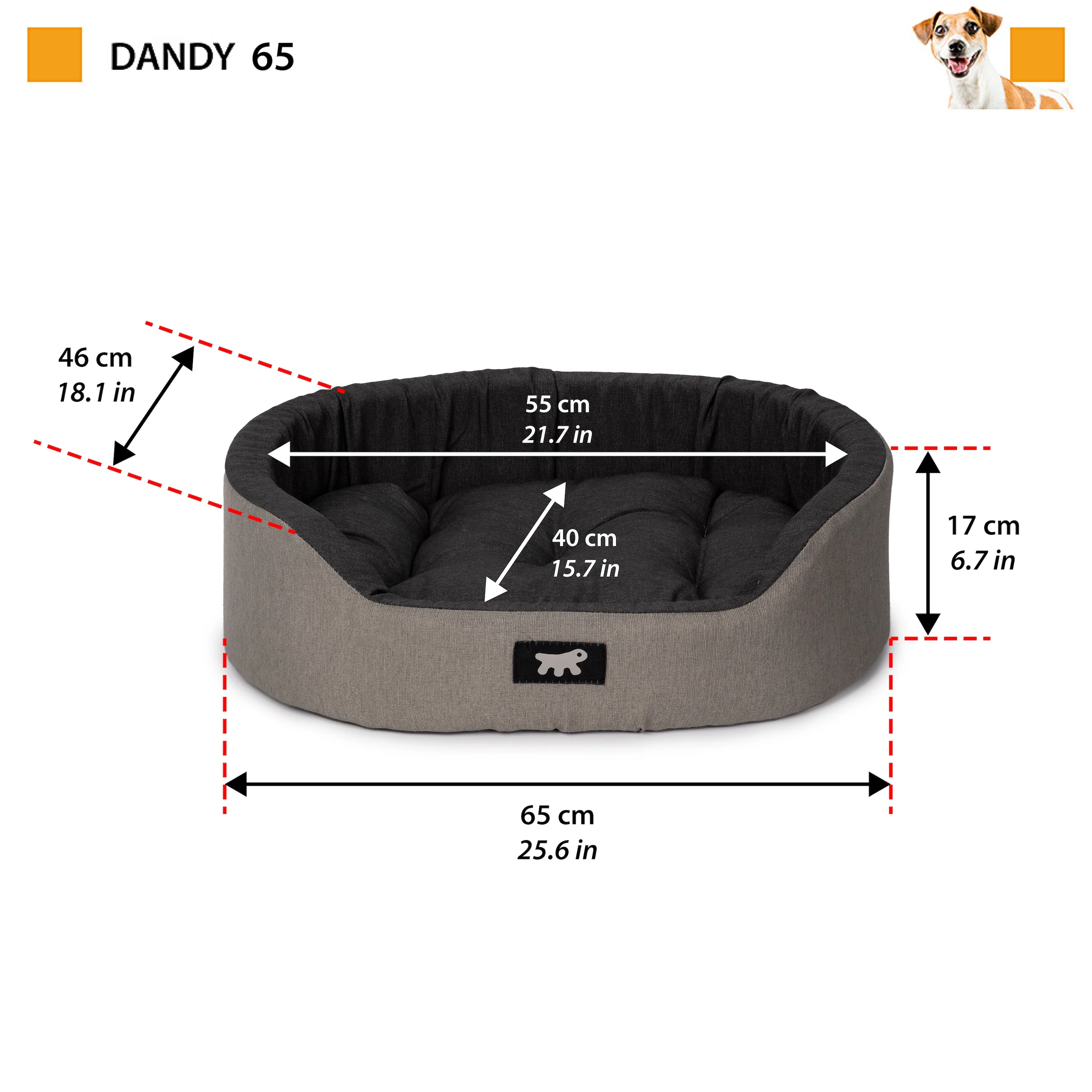 DANDY C COLOUR - Image 26