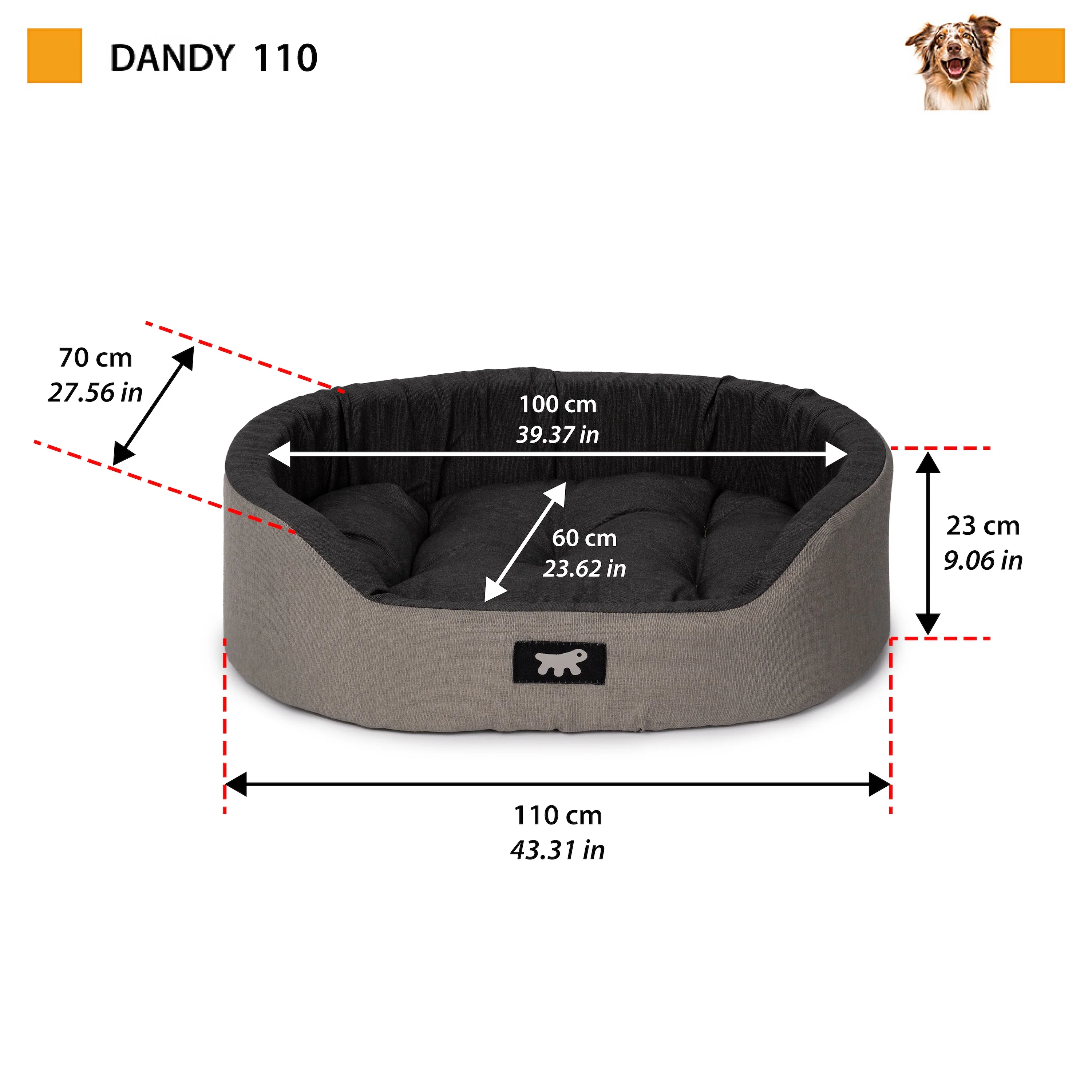 DANDY C COLOUR - Image 43