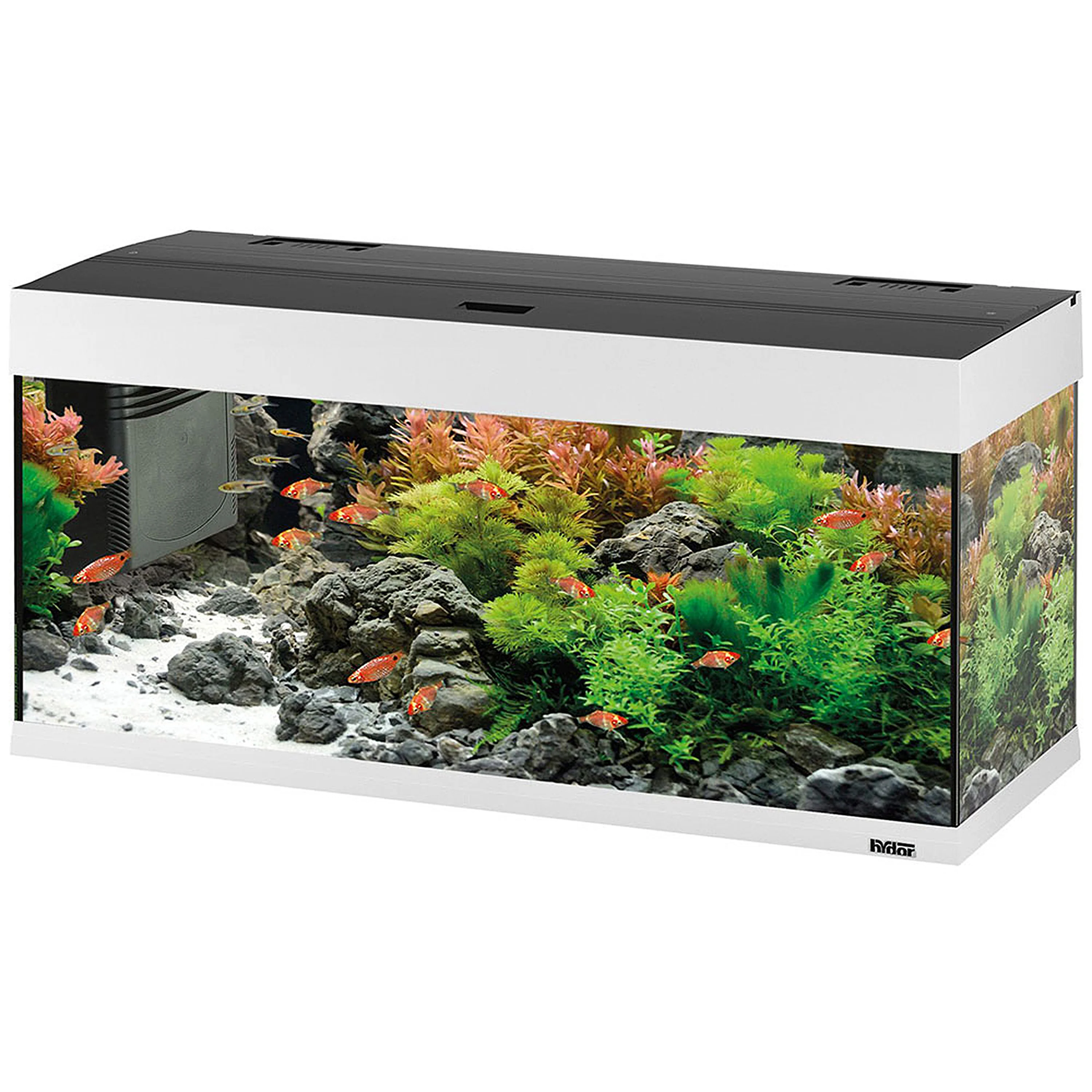 DUBAI 100 LED - 190 L - Image 11