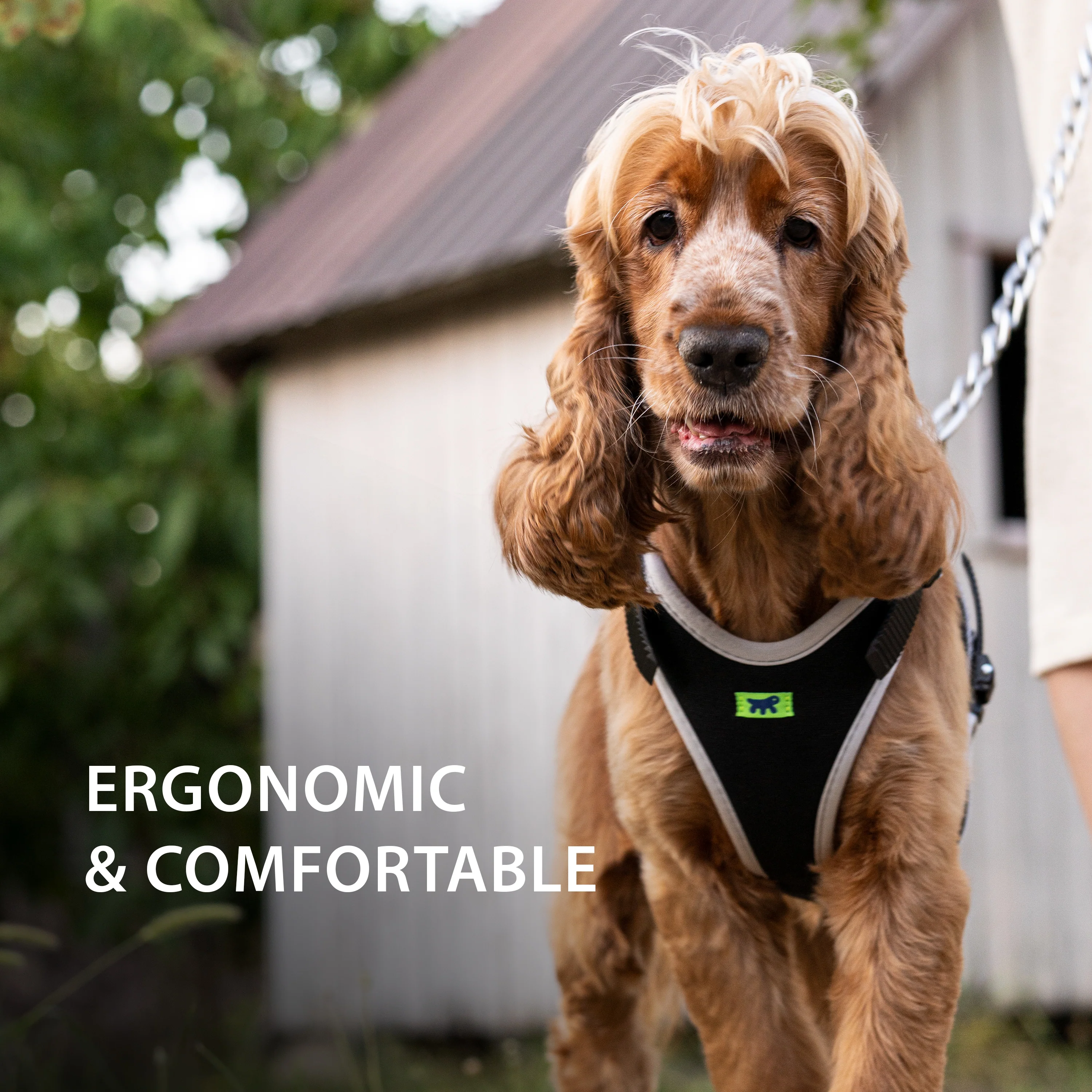 ERGOCOMFORT P - Image 25