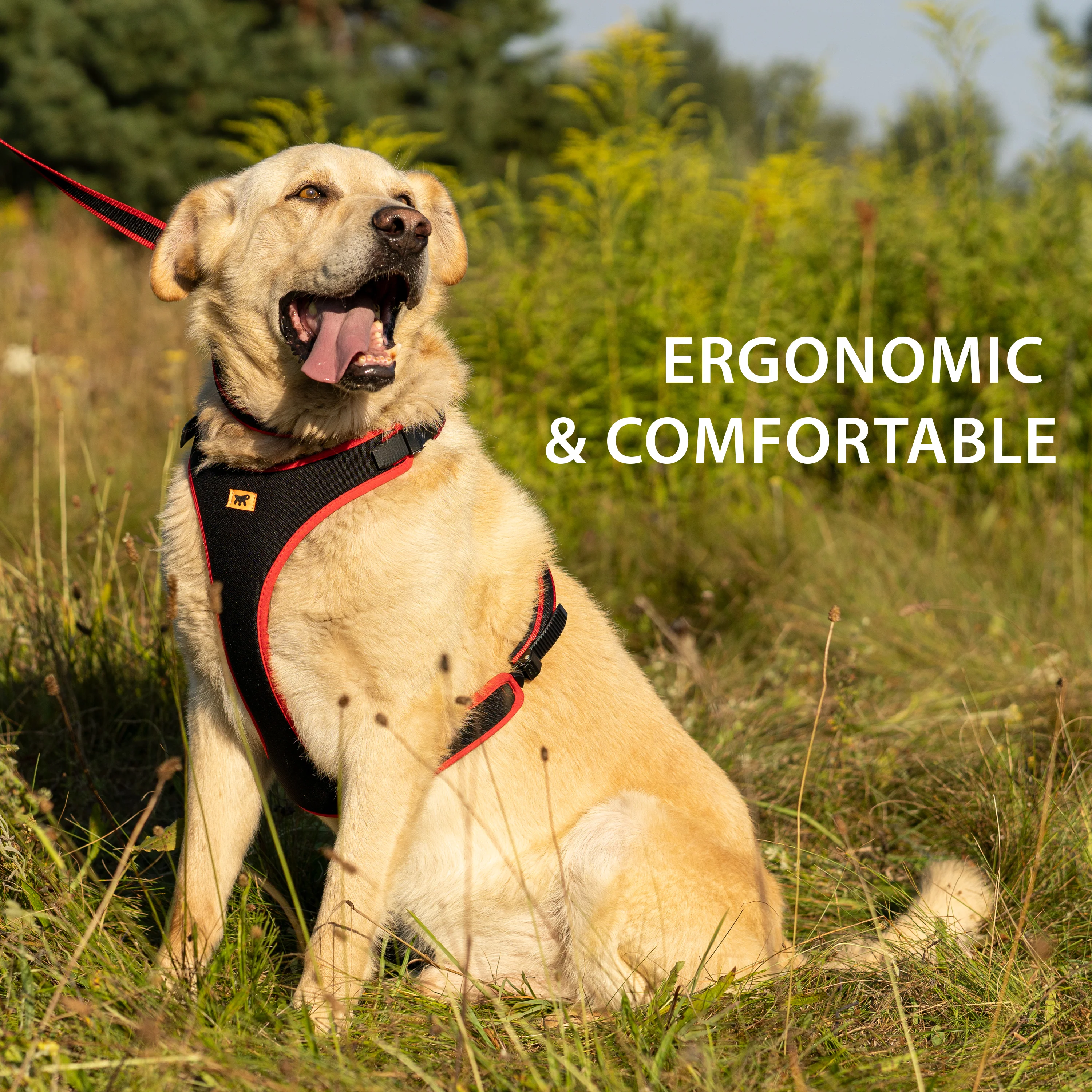 ERGOCOMFORT P - Image 54