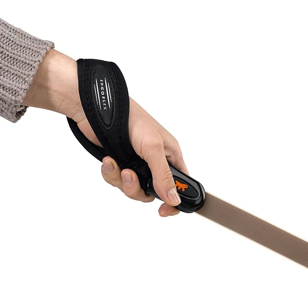 EVOLUTION GM - Image 6