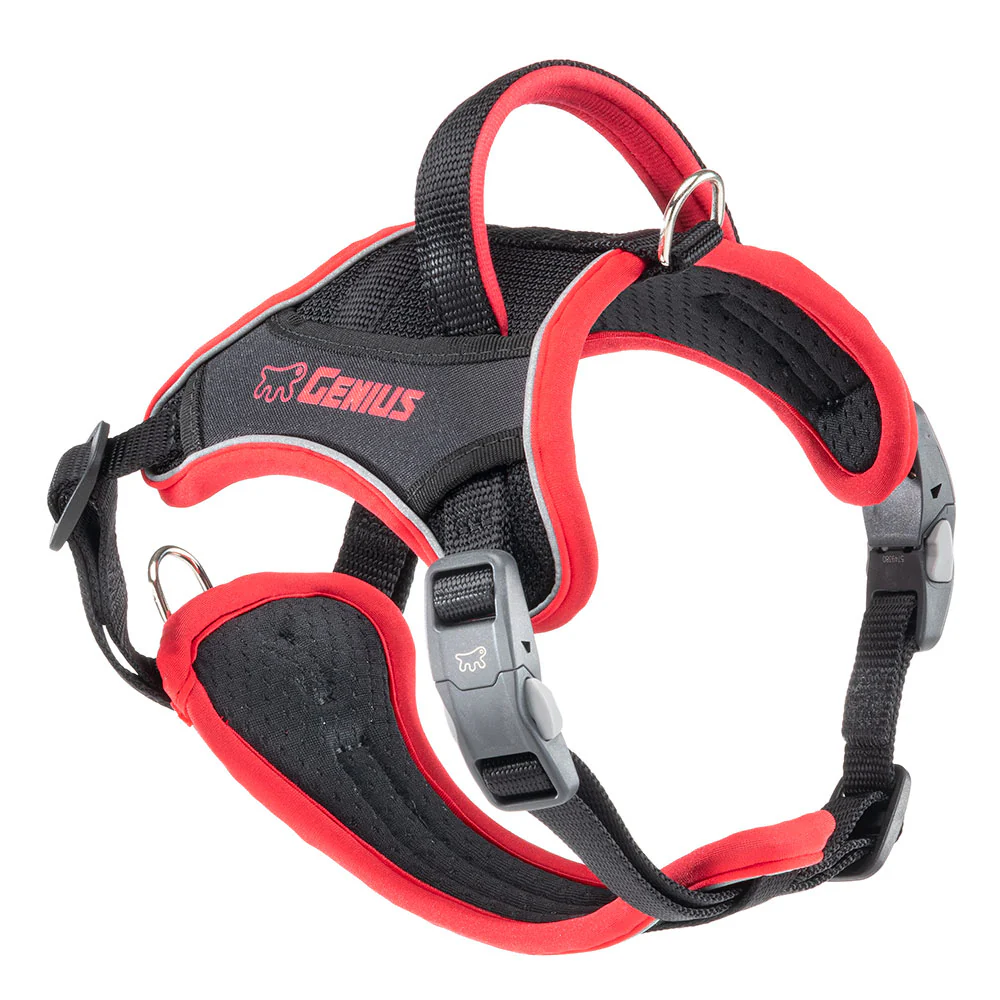 GENIUS P - Image 11