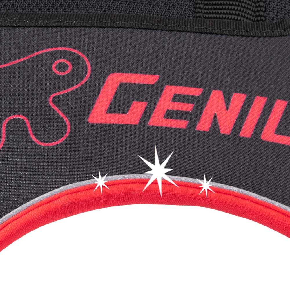 GENIUS P - Image 16