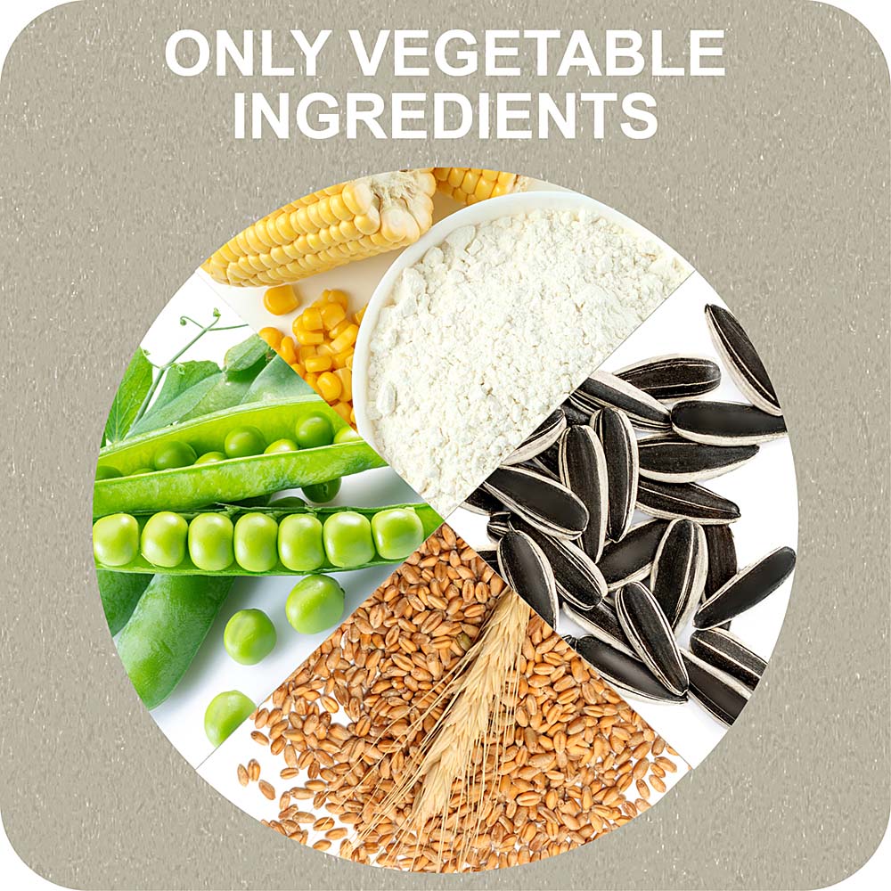 100% SNACK STICKS - FUSILLI EUGLENA - Image 5
