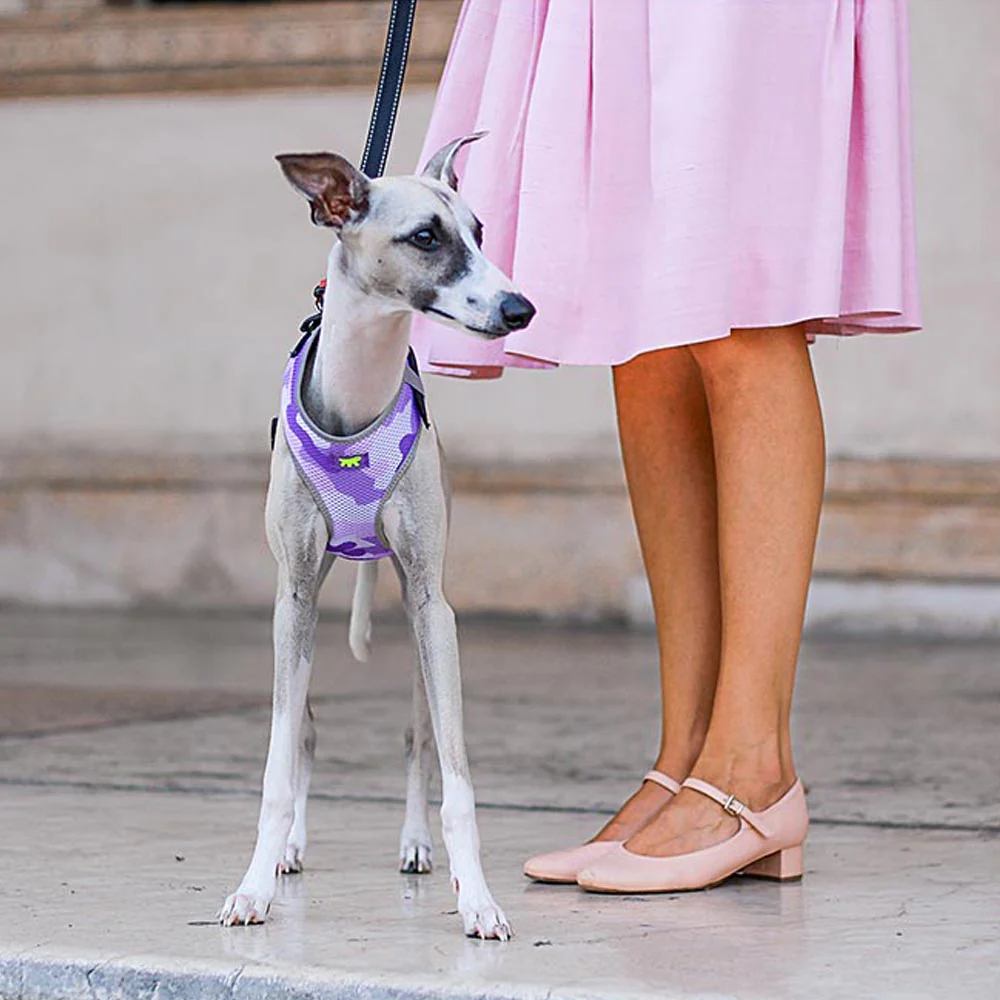 NIKITA P FASHION - Image 15