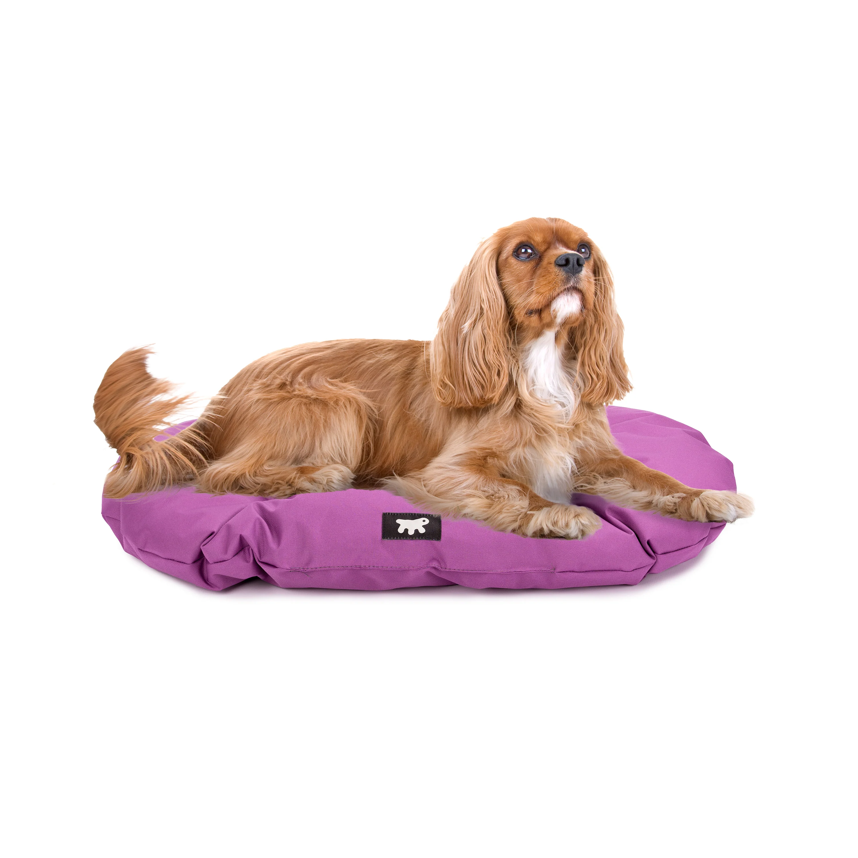 RELAX TECH - Image 45